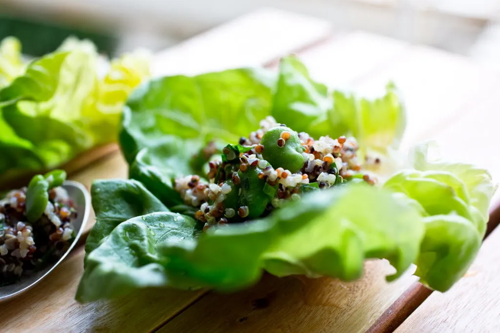 Salade de quinoa arc-en-ciel avec des fèves et des herbes