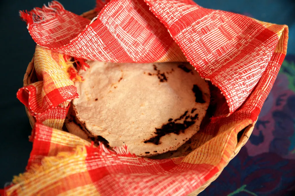 Tortillas de maïs à partir de masa harina